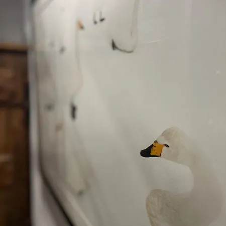 Little Wild House 펜션 *