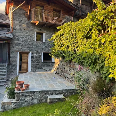 Little Wild House 셍빈센트