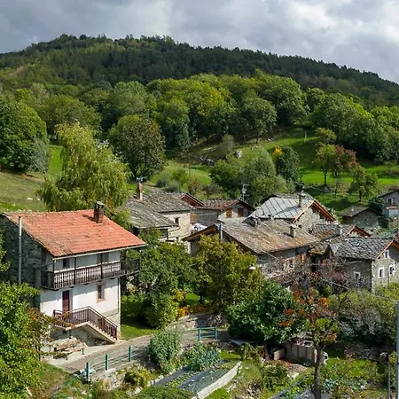 Little Wild House 펜션