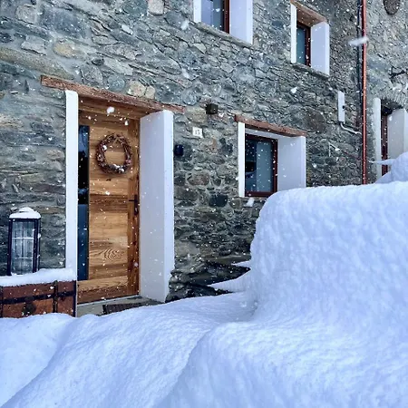 Little Wild House *