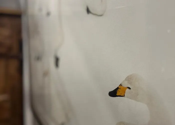 Little Wild House Hébergement de vacances *